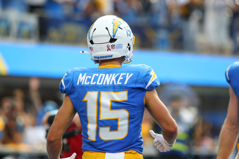 Week 13 CheatChart Positional Matchups to Win Your Fantasy Football Lineup Players to Know QB RB WR TE IDP Must Start/Sit Candidates for the playoffs NFL FF